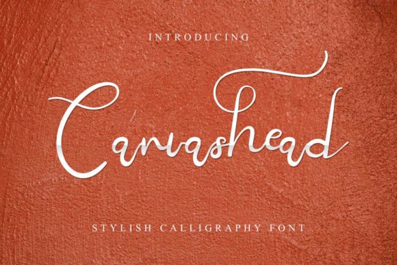 Canvashead Font: A Vintage Handwritten Typeface Review
