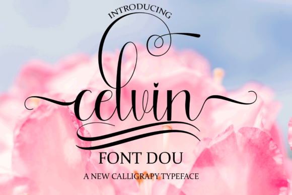 Celvin Font: Elevate Your Brand with Elegant Script