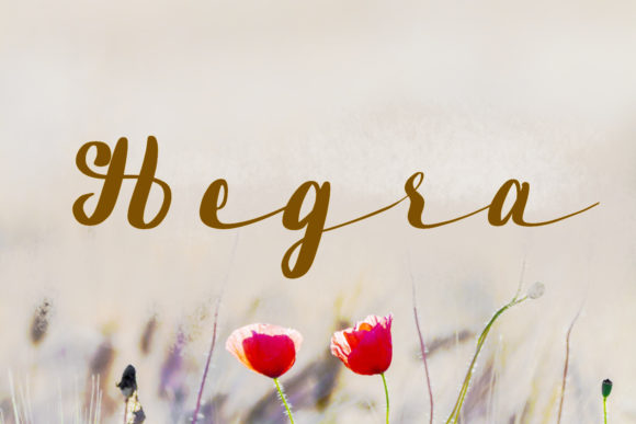 Hegra Font: Elevate Your Brand Identity